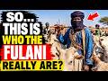 Who Are The Fulani The Untold 1 000 Year Civilization That Shaped Africa 