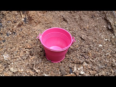 ice-bucket-wet-t-shirt-contest