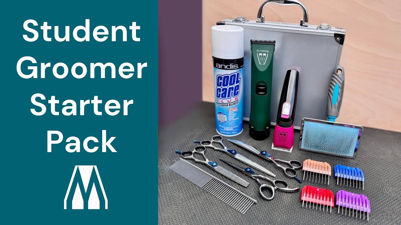 Best Starter Grooming Set For Student Dog Groomers | Masterclip #groomingstudents #doggroomer