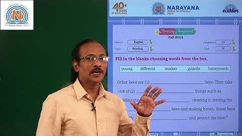 17TH SEP TS CLASS IV ENGLISH AMAZING ASSIGNMENT 10 KEY