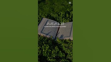 قرآن كريم #قران_كريم #صلوا_على_النبي