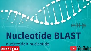 NUCLEOTIDE BLAST ( NCBI ) B.Sc./M.Sc./ Research 🧬#bioinformatics #biotechnology #molecularbiology 