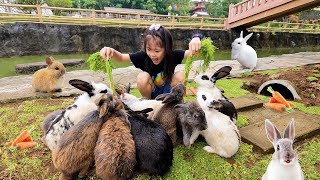 Harper Di Serbu Kelinci Banyak Sekali, Kasih Makan Kelinci Lucu - Mengenal Binatang Lucu