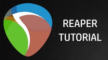 How to Assign Interface Inputs to Tracks on Reaper
