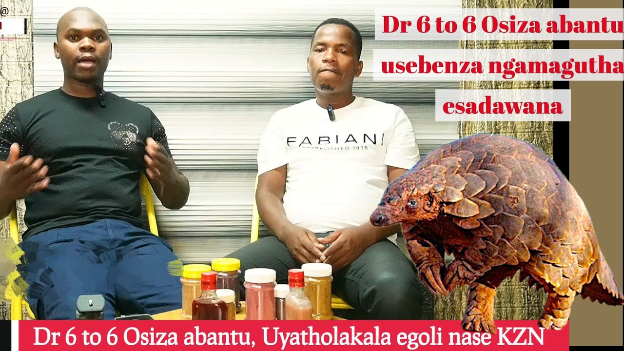 DR 6 to 6 Osebenza ngesadawana, amabutho, Izizwe. Uyatholakala yonke indawo 