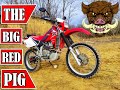 Jeli Motors: Honda XR 650R. A disznó teszt!❗🐷