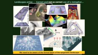Archive: Complex Systems Dynamics and Mutation-less Cancer Progression