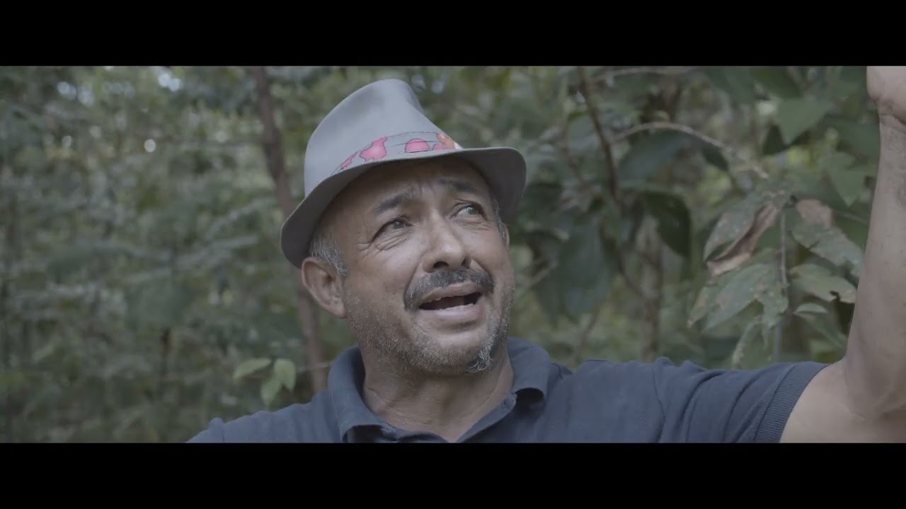 DEFENDIENDO EL BOSQUE - PARTE 9 (INFORME AUDIOVISUAL)