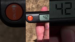 Nice and hot in Australia. 🇦🇺 🥵 #australia #summer #shorts