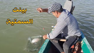 يالله بينت الشگره اليوم. شاهد صيد السمتي