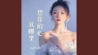 想你的心放哪里 (DJ默涵版)