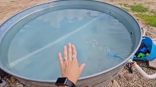 The Best Pool Vacuum for Above Ground Pool with a Telescopic Pole | By Enhulk