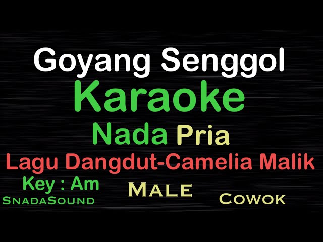 Goyang Senggol-Camelia Malik-Lagu Dangdut|Karaoke nada Pria-Male@ucokku class=