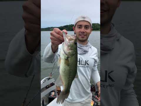 Released ANOTHER man’s fish?!? 🙄🎣