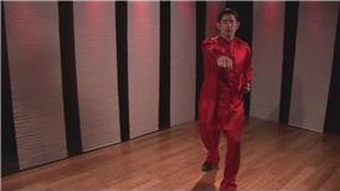 Kung Fu : Northern Style Swinging Block, Sleeve Block, Side Punch & Double Kick Punch Combo