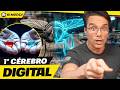 CLONARAM O CÉREBRO DE UMA MOSCA E ELA ESTÁ VIVENDO NUMA SIMULAÇÃO!