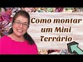 mini terrario suculentas passo a passo: 2 dicas de vaso de mini terrário suculentas, para o papai