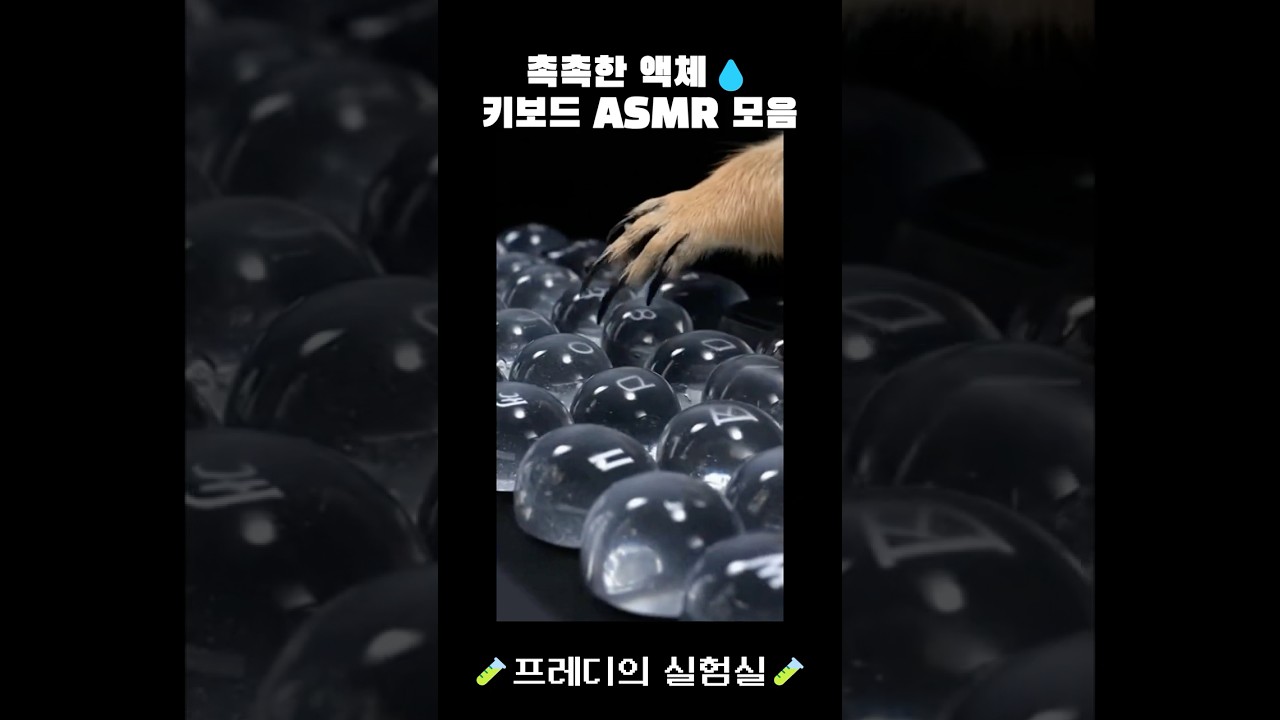 프레리독의 촉촉한 액체 키보드 ASMR 모음 / Prairie Dog’s Moist Liquid Keyboard ASMR