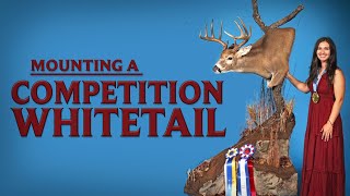 Mounting a Competition Whitetail  #taxidermy