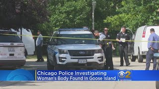 Body Found in Goose Island