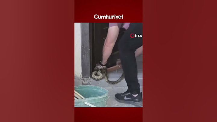 Komşusunun evine giren yılanları eliyle çıkardı, adı 'Yılan Avcısı' oldu