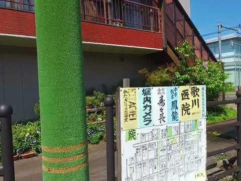 2025-05-08 / 撮影地:新潟県五泉市駅前１丁目