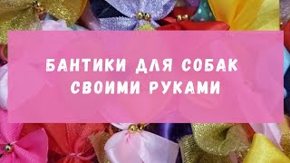 DIY 5 способов, как сделать бантики для собак своими руками.