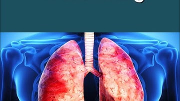 Respiratory System Lesson #3 PowerPoint (by Tangstar Science)