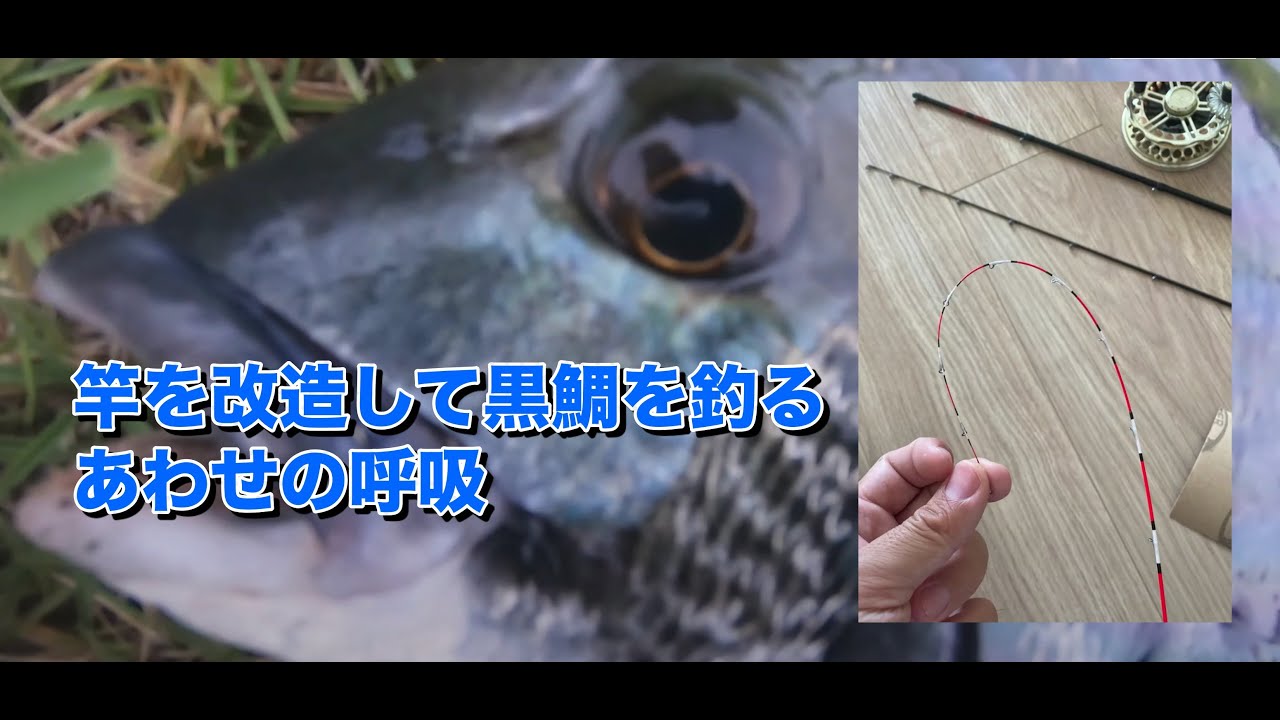 [大和屋]　[豊洲ぐるり公園ヘチ釣り] 竿と仕掛けの改造 black porgy fishing