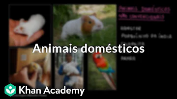 Onde pode viver os animais domésticos?