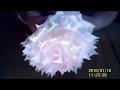 Shabby Coffee Filter Flowers Tutorial