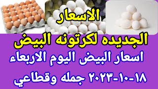 سعر البيض اسعار البيض اليوم الاربعاء ١٨-١٠-٢٠٢٣ جمله وقطاعي فى مصر