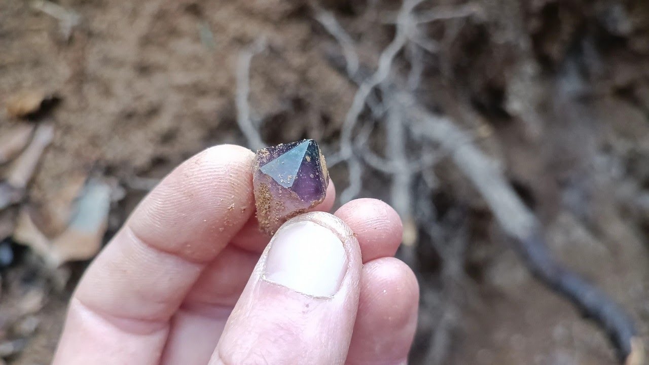 Recherche de cristaux d'améthystes brillants sur le nouveau filon 👌