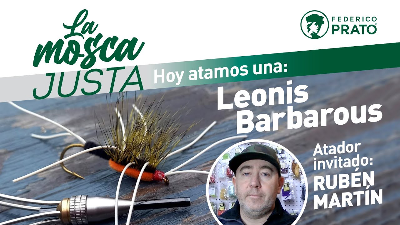 La Mosca Justa: Leonis Barbarous, por Rubén Martín.