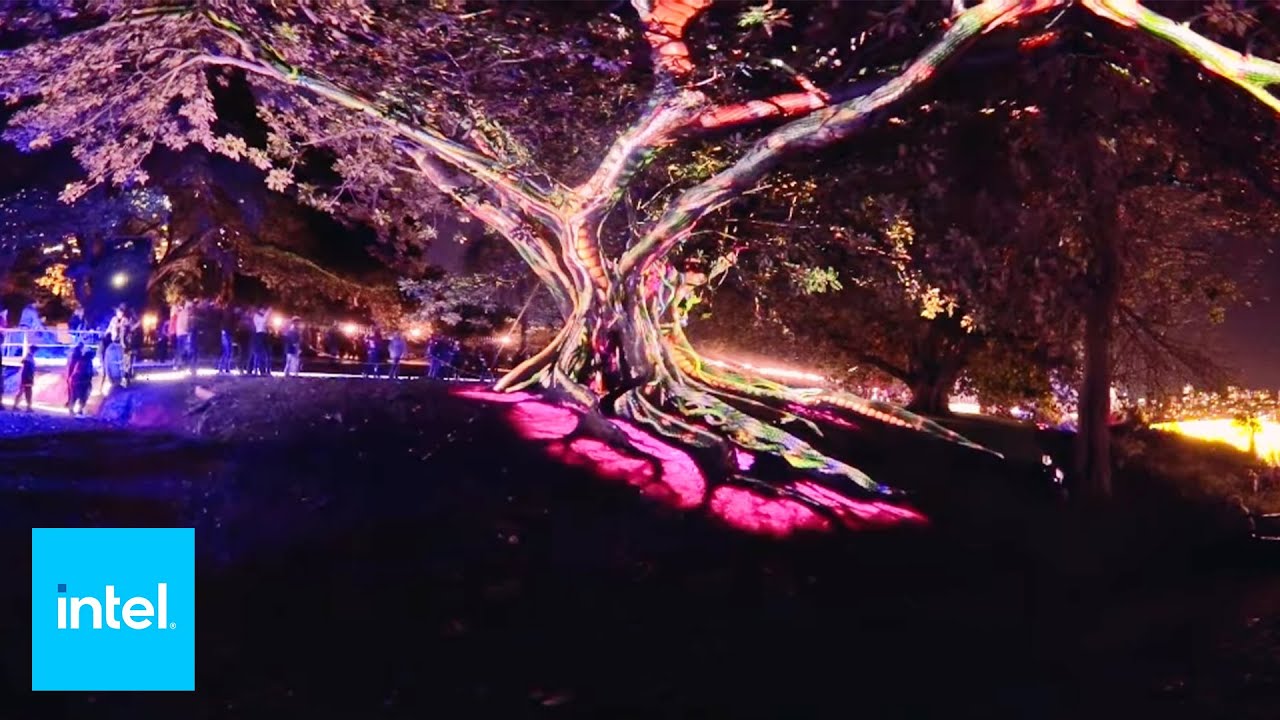 sydney schneider Experience Vivid Sydney: Week 3 | Intel