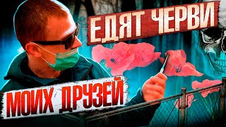 МОИХ ДРУЗЕЙ ЕДЯТ ЧЕРВИ | Воровал чтобы колоться | Ночи в подъезде | Реабилитация