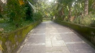 Tropika Bieno – Filmo por la Usona Bona Film-Festivalo