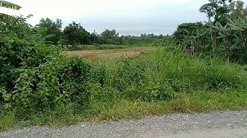 Cảnh đẹp thiên nhiên, không khí trong lành và mát mẻ. Gia Canh, Định Quán, Đồng Nai