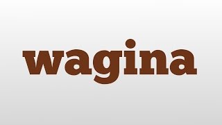 wagina meaning and pronunciation @epicpronunciations2018