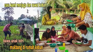 CARA KAMI JAGA DAN RAWAT PADI SAWAH, COOKING MUKBANG AYAM GORENG