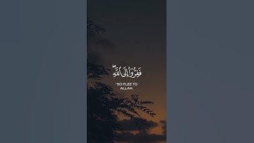 تلاوة عطرة من سورة الذاريات للقارئ احمد النفيس #قرآن #quran #تلاوة_خاشعة #اذكروا_الله_يذكركم #أذكار
