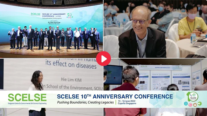 SCELSE 10th Anniversary Conference (GOH: Minister Chan Chun Sing) - DayDayNews