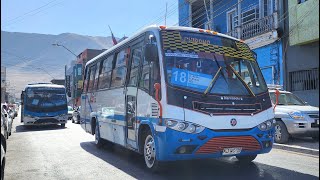 Microbuses de Iquique - Alto Hospicio