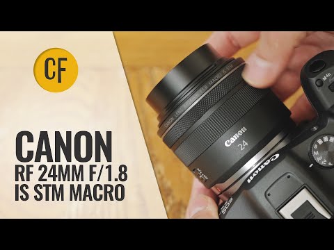 Canon RF 24mm f/1.8 IS STM Macro lens review