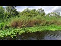 Bluе springs state park . Orlando.FL.  -3