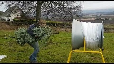 Christmas tree farm worker jumps through netter