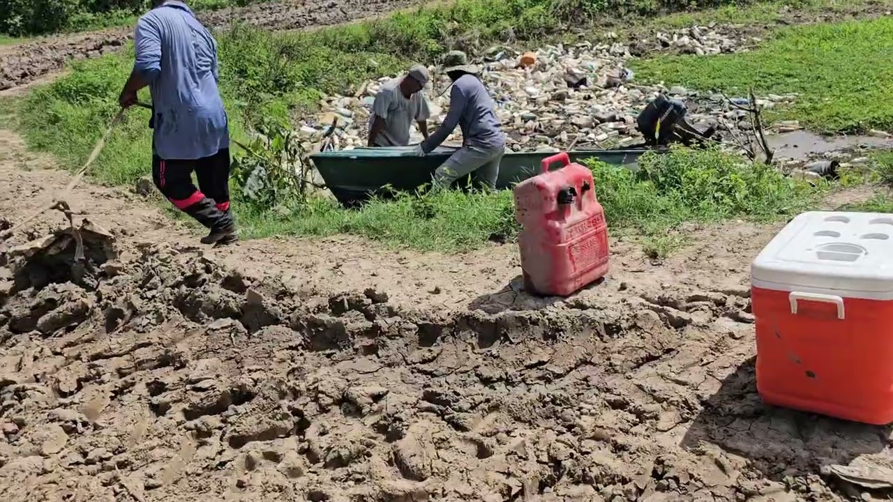 Часть 1. Наш путь вниз по саванне 