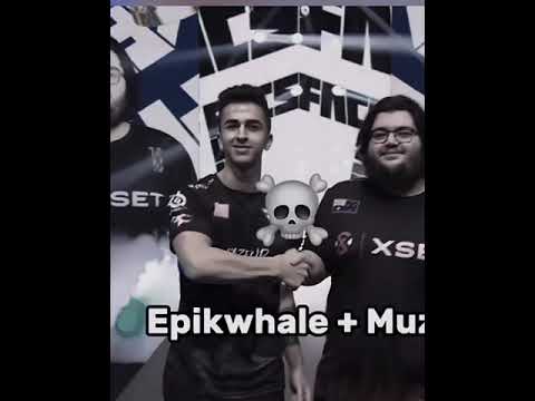 Ссылка на мой тгк по новостям в фортнайте в шапке профиля Fnks Bro Merstach фортнайт Mongraal Mem