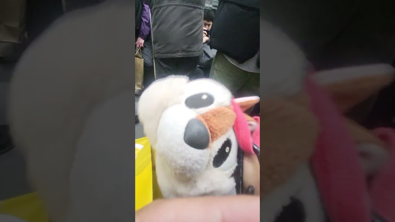 Train in little tokyo 