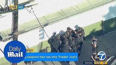 Gunman in custody after hostage standoff at Trader Joe